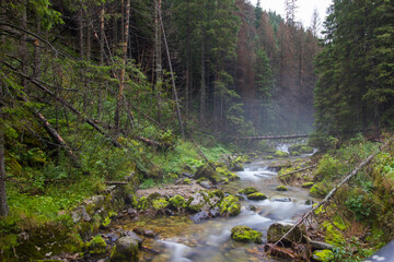 The river in mountain