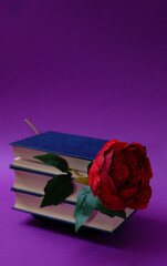 Blue books, hardcover, stacked horizontally, between the pages a large red rose, on a purple violet background. Text space. Reading, book lovers, romantic, valentine's day concept. Minimal style.