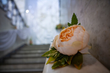 Registry office, wedding, wedding ceremony, flower, rose, bouquet, wedding, pink, flowers, 