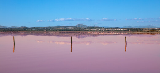 Torrevieja- Costa Blanca in Spain,  rosa laguna © M.studio