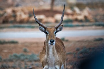 Just posing for a photo