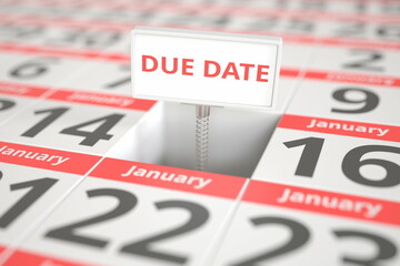 DUE DATE sign on January 15 in a calendar, 3d rendering