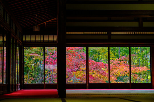 京都・南禅寺天授庵の紅葉 © 英昭 亀井