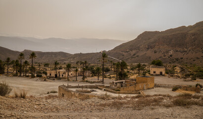 Landscape of tabernas desert, Almeria, Spain, with palm trees and an abandoned village