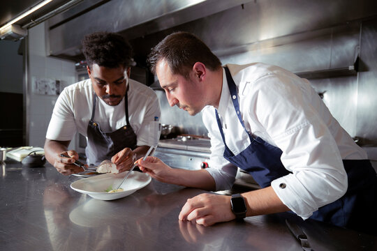 Precise diverse cooks serving dish in restaurant - Powered by Adobe