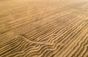 View from above field after harvest. Incredible landscapes and textures. The dug-up strips left by the combines form geometric lines stretching parallel to each other to the horizon