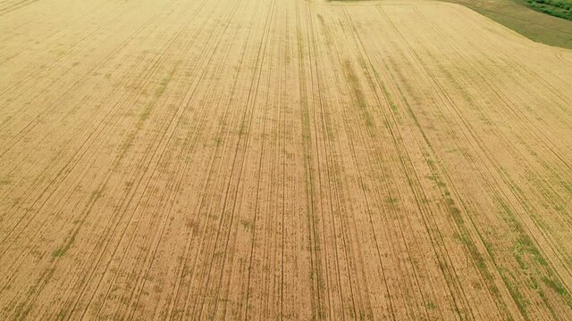 Fly over the field after harvest. Incredible landscapes and textures. The dug-up strips left by the combines form geometric lines stretching parallel to each other to the horizon