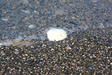 Abstract background with round pebble stones different colors and sea. Stones beach smooth. Top view. Soft focus.