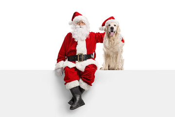 Full length portrait of a santa claus sitting on a white banner with a retriever dog