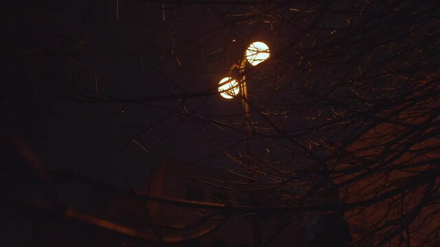 Light from street lantern lightining night street through tree branch at city park at autumn or winter time outside