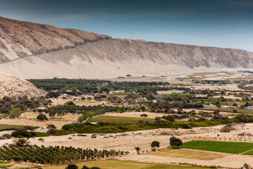 Fototapeta premium Lots of agriculture in the dry landscape in the Ocona river valley. Arequipa Region, Peru