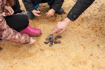 Children explore rocks and minerals in the sand