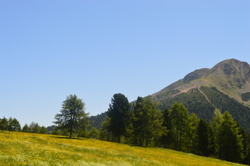 Beautiful landscape in Southtyrol 