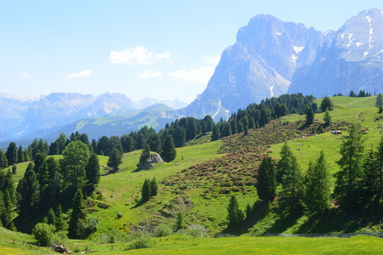 The Alpe di Suise in Southtyrol 