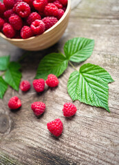 Fresh ripe red raspberries with leaves in a bowl on rustic old wooden table. Healthy organic food, summer vitamins, BIO viands, natural background. Copy space for your advertising text message.