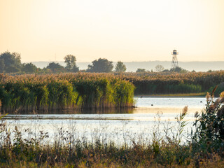 National Park Fertoe-Hansag, part of UNESCO World Heritage Site Fertoe - Neusiedlersee Cultural...