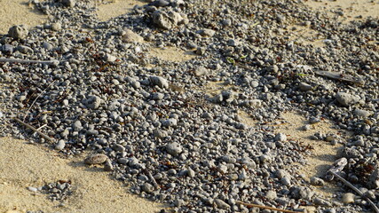 いよいよ石垣島にも軽石