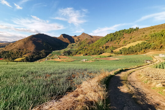 Paisajes de Aquitania (BOYAC&Aacute;), el lago de tota, cultivos de cebolla, y paramos en Colombia