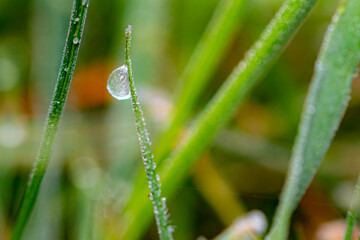 Goutte givrée