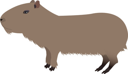 シンプルなカピパラ