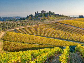 Italy, Tuscany, Chianti. Vineyard near Radda in Chianti in the fall.