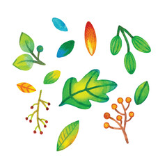 Watercolor set with leaves and berries. Cute illustration in cartoon style on white background