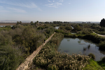 Obraz premium Tel Afek, nature reserve in Israel