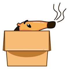 Sticking out long animal nose in cardboard box on a white background. Stock illustration of a hiding hedgehog in a parcel. The concept of avoiding problems, quarantine, self-isolation, panic attack.