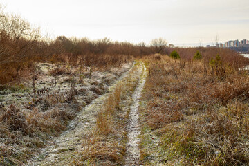 Old dirty Road to the field with yellow ears and grass. Rustic landscape in an autumn day. Sad rural nature. The concept of a difficult move forward