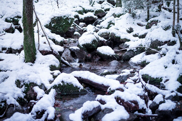 Small creek flows through snowdrifts. Winter forest landscape.