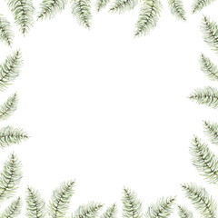 Watercolor pine branches, Christmas tree branches square card template with white background, winter clipart, fir tree branches border