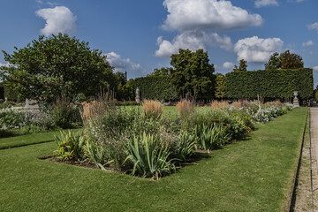 Flowers in the Public Paris garden: Tuileries Park. Catherine de Medici created Garden in 1564. Paris, France.