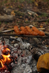 hot dog with a bottle in the woods