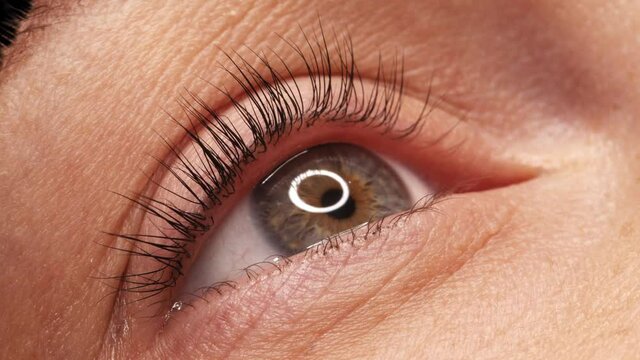 SLOW MOTION: Applying black mascara to the eyelashes with a makeup brush. Applying makeup in a beauty salon. Close-up of a woman's eye. Lengthening of the eyelashes after lamination.