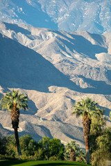 The Desert Climate of the Coachella Valley, California, with Mountains Towering in the Background and Palm Trees Towering in the Foreground
