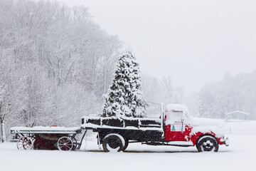 A Snow Covered Truck Waits To Deliver A Christmas Tree During A Snow Storm
