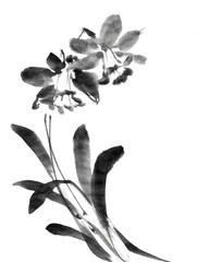 水墨画技法で描いたラッパ水仙