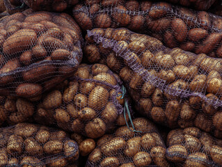 Potato harvest, packaged in nets