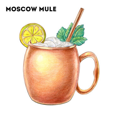 Moscow Mule cocktail illustration. Alcoholic cocktail hand drawn illustration. Color sketch. Colored pencil drawing. Isolated object