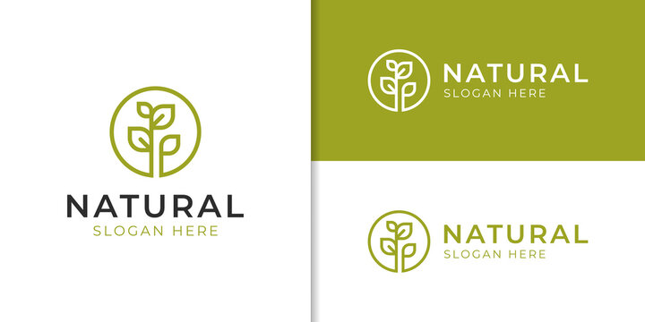 nature leaf plant grow minimalist logo design for agriculture, greening, garden