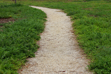Fototapeta na wymiar gravel path through the field