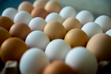 Jajka, Kurze jajka, zdrowe jajka, Jajka w pojemniku, jajka od zdrowych kur, kury z wolnego wybiegu, kolorowe jajka,  eggs, healthy eggs,  © Follow the Sun