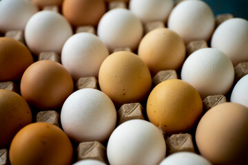 Jajka, Kurze jajka, zdrowe jajka, Jajka w pojemniku, jajka od zdrowych kur, kury z wolnego wybiegu, kolorowe jajka,  eggs, healthy eggs,  © Follow the Sun