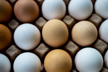 Jajka, Kurze jajka, zdrowe jajka, Jajka w pojemniku, jajka od zdrowych kur, kury z wolnego wybiegu, kolorowe jajka,  eggs, healthy eggs,  © Follow the Sun