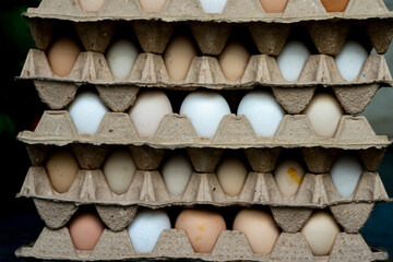 Jajka, Kurze jajka, zdrowe jajka, Jajka w pojemniku, jajka od zdrowych kur, kury z wolnego wybiegu,...