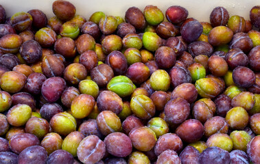 Purple Plum Abstract 02