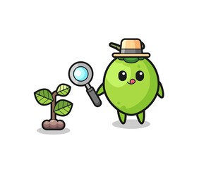 cute coconut herbalist researching a plants