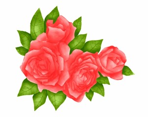 Vector set of branches of red roses isolated on a white background.