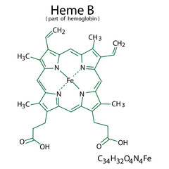 Hemoglobin B chemical formula. Cell of blood. Molecular structure. Organic compound. Vector illustration. Stock image.