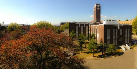 秋の大学キャンパス